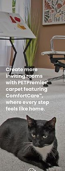 Advertisement
