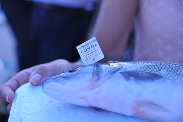 A Fonda Sea Bass