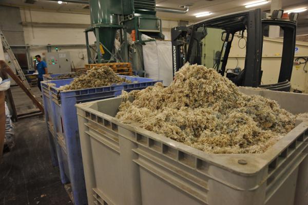 Nylon 6 Carpet Fluff